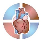 【前沿資訊】JACC  心臟植入電子裝置的網(wǎng)絡(luò)安全性，get到了嗎？