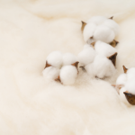 百邁客亞洲棉科研成果在Nature Genetics上發(fā)表