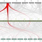 比較基因組學(xué)研究那些事