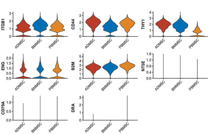 圖1從3個(gè)供者匹配的組織來源分離的馬間充質(zhì)基質(zhì)細(xì)胞（MSCs）的表征
