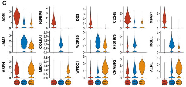 圖2單細(xì)胞RNA測序（sc?RNAseq）數(shù)據(jù)揭示了馬間充質(zhì)基質(zhì)細(xì)胞（MSCs）的源間變異