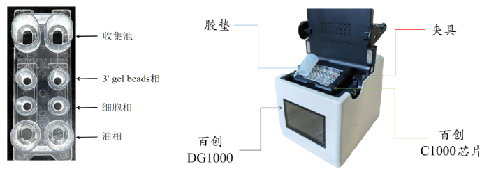 圖1：百創(chuàng)C1000芯片結(jié)構(gòu)（左圖）；百創(chuàng)DG1000微液滴生成儀（右圖）