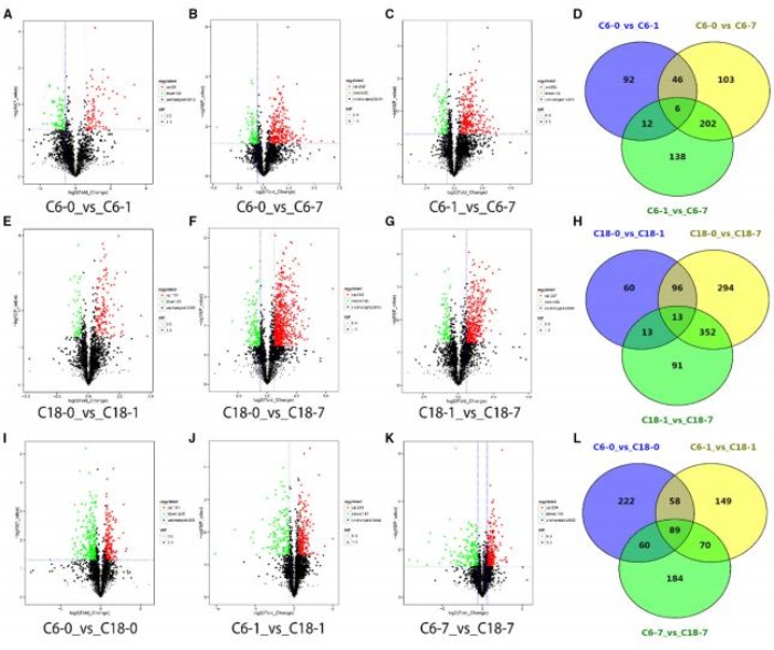 差異累積代謝物的火山圖，以及對照與其時間點的比較