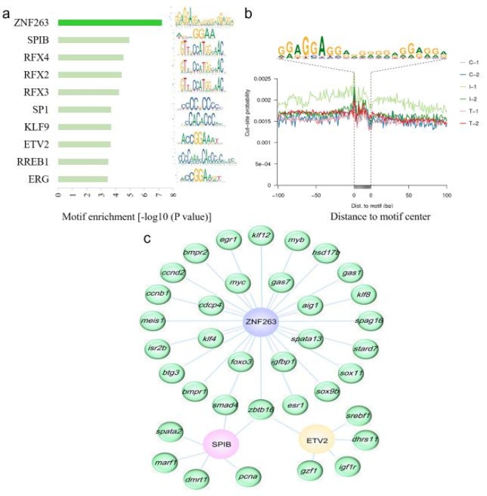圖6高度富集的已知基序及其靶基因