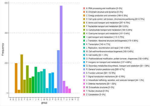 eggNOG功能基因功能分類統(tǒng)計圖