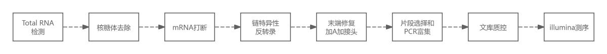 原核轉(zhuǎn)錄組測(cè)序流程