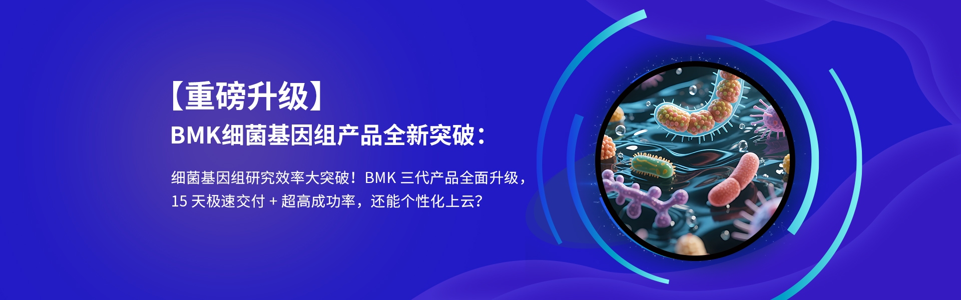 細(xì)菌基因組升級(jí)