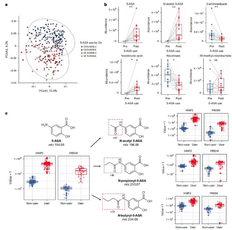 5-ASA可直接影響糞便代謝組，并通過微生物組進行生物轉化